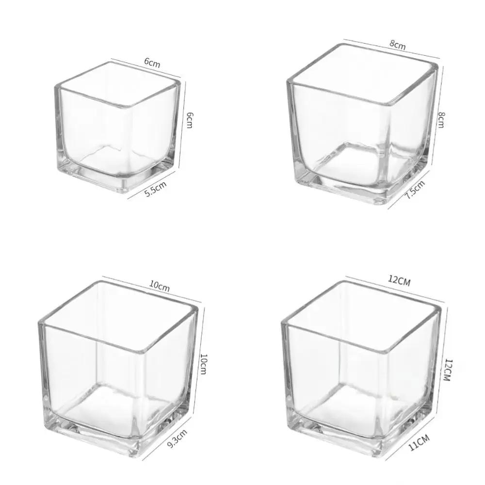 Planter Transprent Square Glass Vase Geometric Hydroponic Flower Pot Cube Vase Desktop Decor