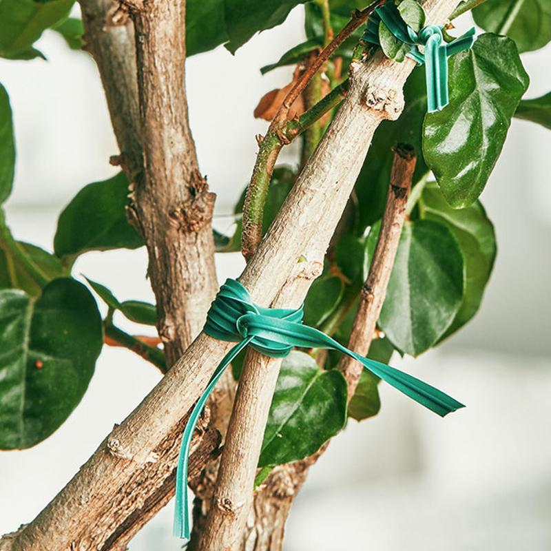 Gravata torcida para jardinagem de 30m, ferramenta de corte embutida, fio multiuso para escalada, videira (com papelão)