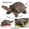 Cross-Border Children's Cognitive Amphibian & Reptile Tortoise Model Fish Tank Ornament Toy