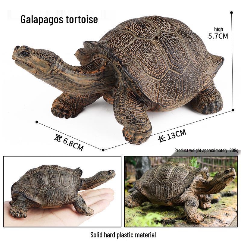 Cross-Border Children's Cognitive Amphibian & Reptile Tortoise Model Fish Tank Ornament Toy