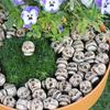 20 Pcs Smiling Skull Miniatures Resin Decor Skull Ornaments for Skull Figurines Planter Home Garden