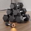 Longjian Iron Hex Dumbbell