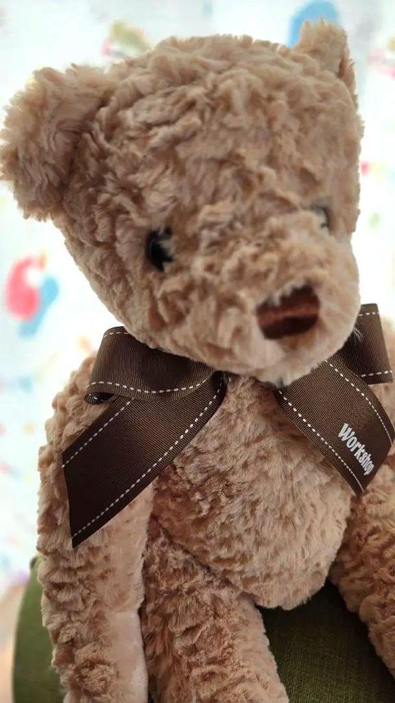 [USED] Korean Baskin-Robbins Teddy Bear