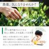 NAKANE TEA INC. Organic Green Matcha Bags 100 Pieces (2.0g100 Bags) Shizuoka Prefecture Produced Sencha Pack Cultivation JAS Certified
