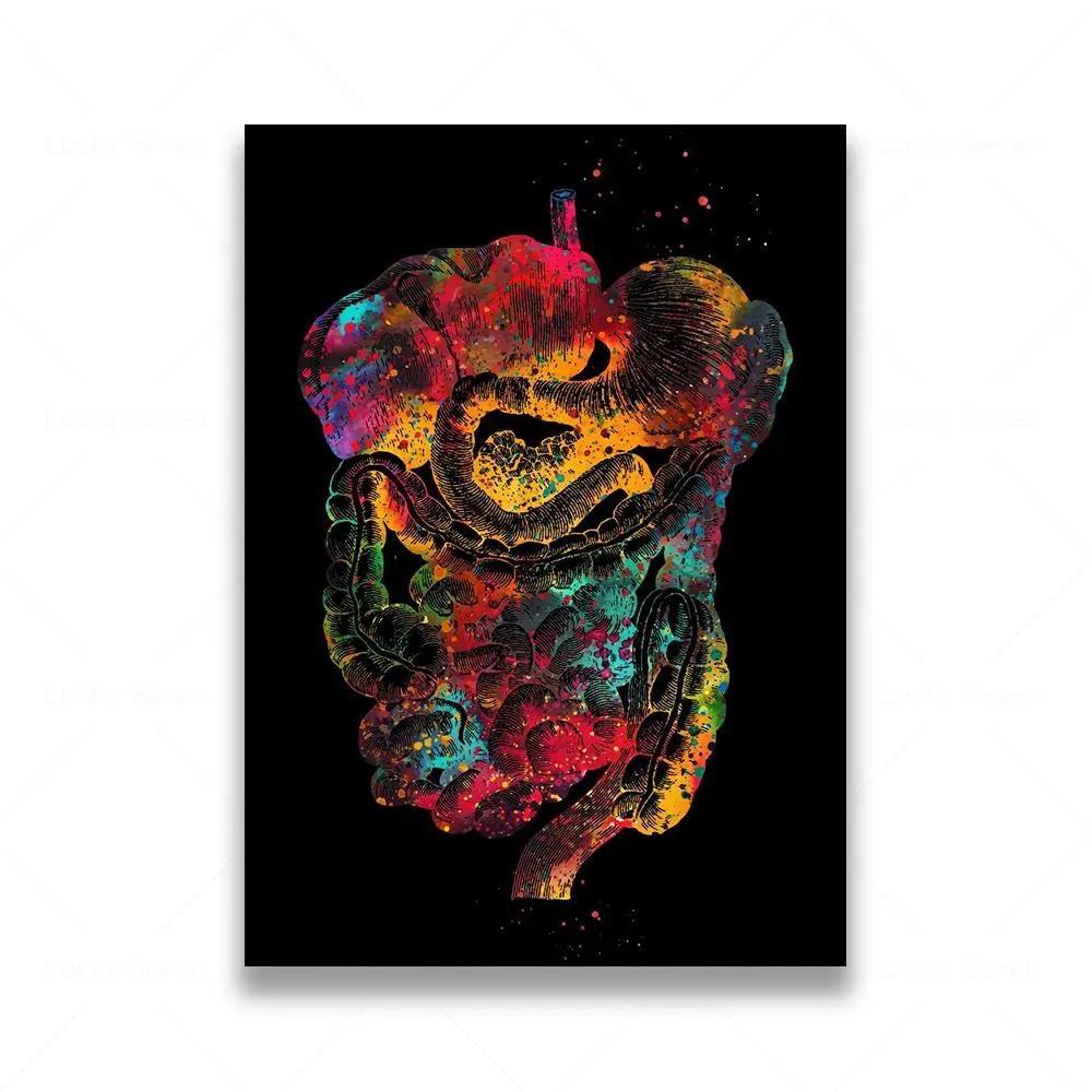 Anatomia Umana Muscoli DNA Neuro Arte Murale Pittura su Tela Poster e Stampe Mappa del Corpo Immagini Murali Educazione Medica Decorazione per la Casa