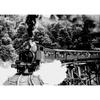 Classic Steam Train Wall Art - Bedroom, Bar, Dorm, or Study Decor
