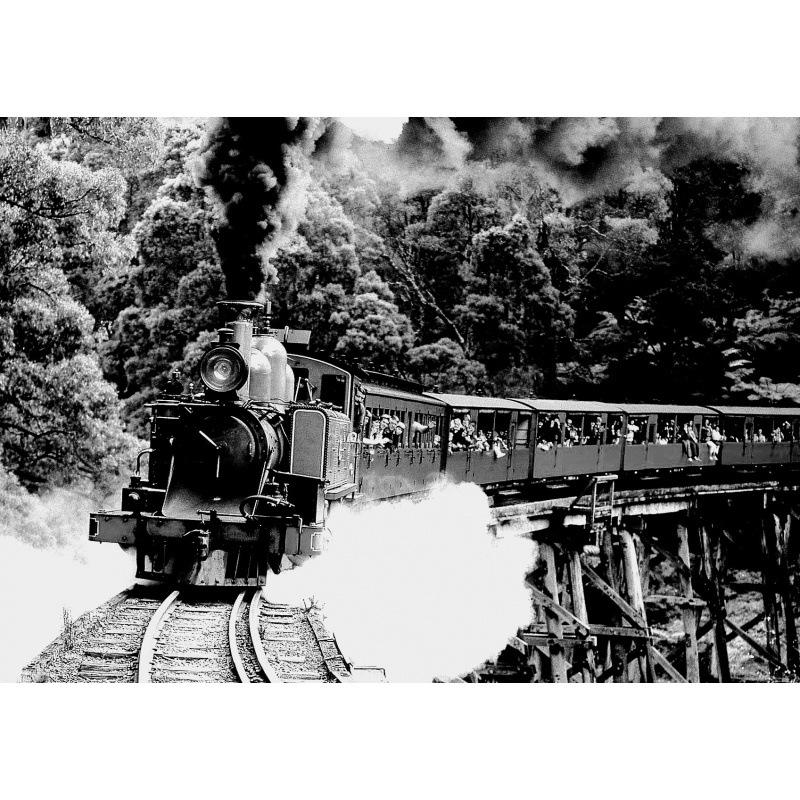 Classic Steam Train Wall Art - Bedroom, Bar, Dorm, or Study Decor