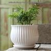 Elegant White Ceramic Flower Pot with Tray - Ideal for Ivy, Spider Plants, and Succulents