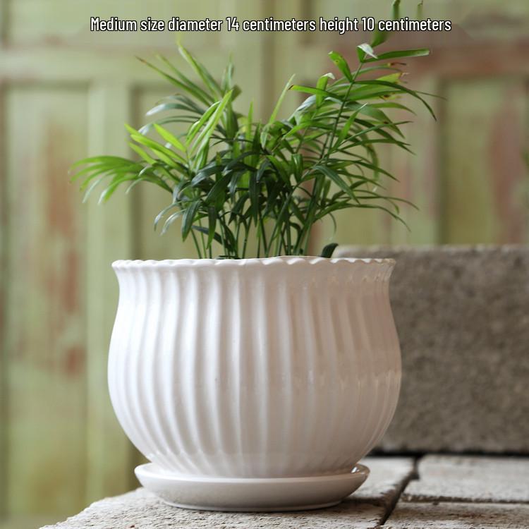 Elegant White Ceramic Flower Pot with Tray - Ideal for Ivy, Spider Plants, and Succulents