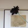 Azuma Feather Duster 60, 62cm Long, Gently Removes Dust, Made with Bird Tail Feathers, AG714