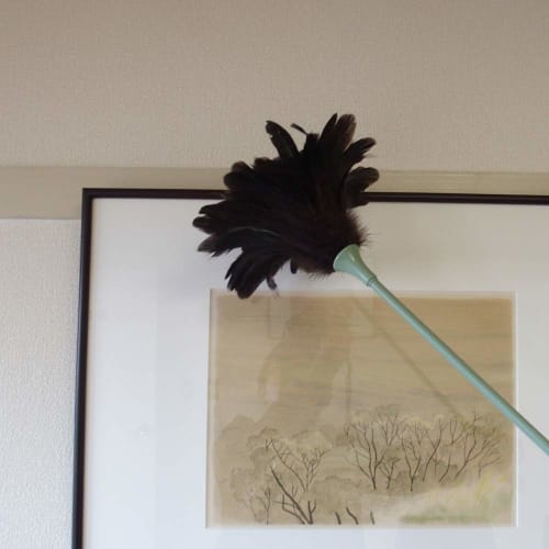 Azuma Feather Duster 60, 62cm Long, Gently Removes Dust, Made with Bird Tail Feathers, AG714