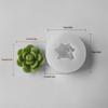 DIY Geometric Silicone Mold Succulents Shape Concrete Moulds Realistic Craft Molds Resin Moulds for Hand-Making Candle
