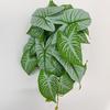 Simulated Plant Fine Workmanship Decorative Realistic Full of Vitality No Watering Decorate Rattan Leaves Long Lasting No Wither Imitation Plant for