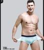 Men's Seamless Ice Silk Triangle Briefs - Breathable, Thin, Mid-Waist Sports Underwear for Summer