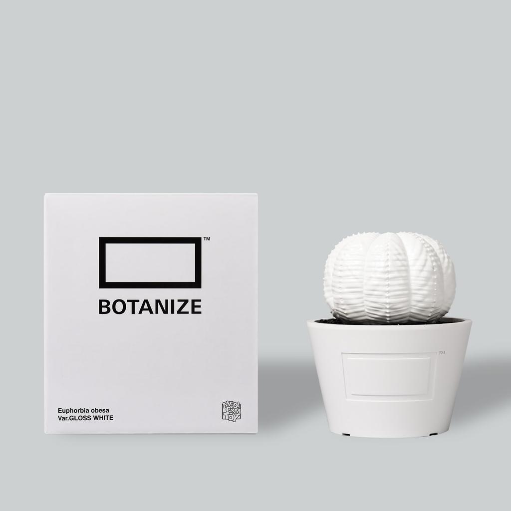 MEDICOM TOY BOTANIZE VCD Euphorbia obesa gloss WHITE Medicom Toy BOTANIZE collaboration Euphorbia obesa figure [Limited Sale] × var. & (white)