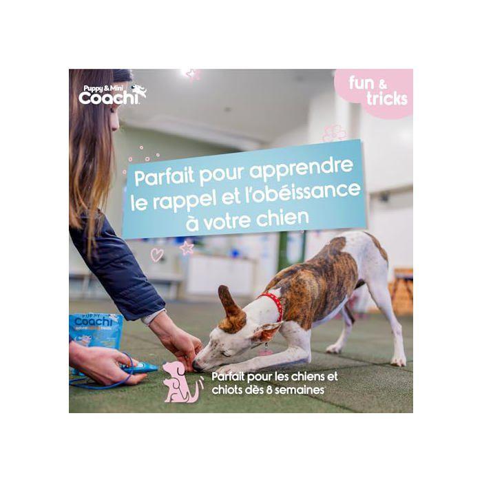 Sifflet et clicker combinés pour chien - Coachi - Éducation au rappel - Dressage au clicker - Cordon réglable