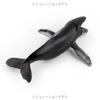Sperm Whale Marine Animal Model Simulation Sea Life Figure Collection Whale Figurines  Home Decor
