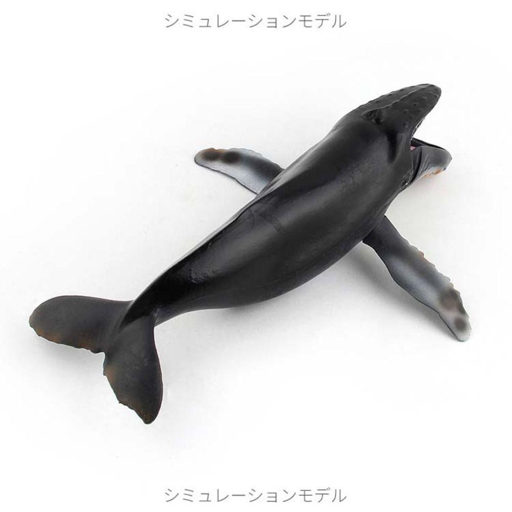 Sperm Whale Marine Animal Model Simulation Sea Life Figure Collection Whale Figurines  Home Decor