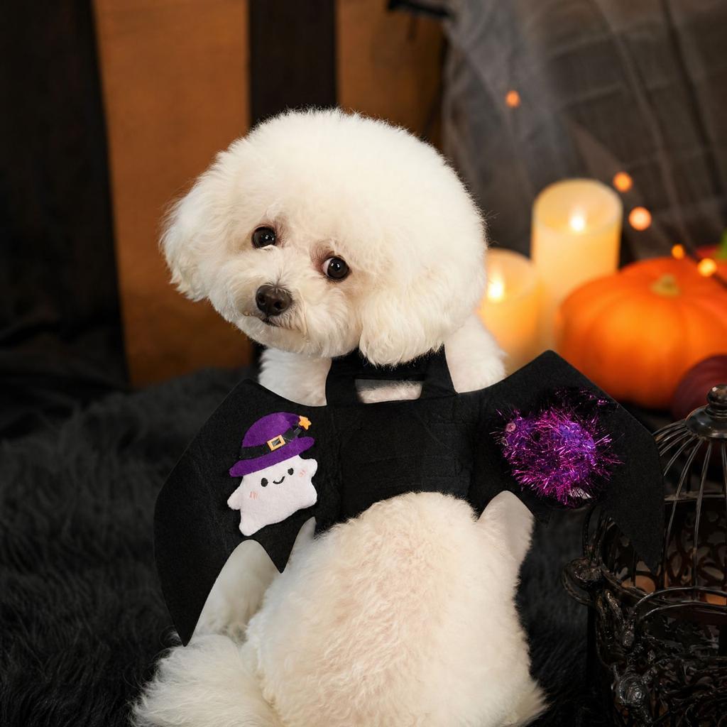 Pet Costume for Dogs and Cats Halloween Dress Up