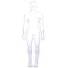 DIY Mannequin Science Cognitive Puzzle Toy Transparent Kid Skeleton Model  Kids Toys