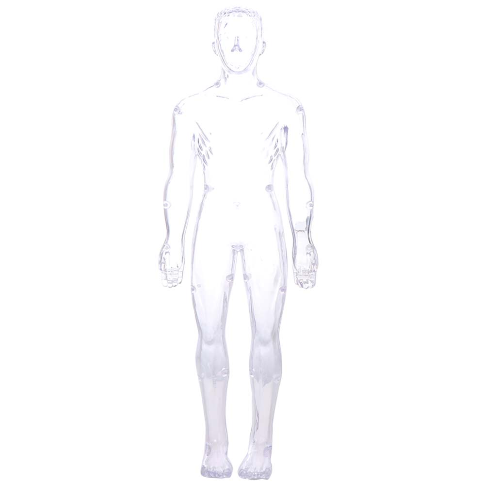 DIY Mannequin Science Cognitive Puzzle Toy Transparent Kid Skeleton Model  Kids Toys