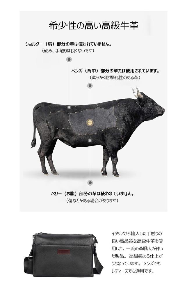 Whatna Antique-Style Tanned Natural Cowhide Leather Shoulder Bag for Men, Messenger Bag, Crossbody Chest Bag, Small Business Bag, A4 Size, Genuine