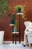 PEAK Universal Flower Stand - White, 3-tier Flower Stand for 3 Pots
