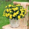 Artificial Impatiens Bunch UV Resistant Faux Flowers Low Maintenance Fake Impatiens Bouquet for Indoor Vase Planters Balcony Decorations