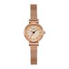 Versatile Stainless Steel Mesh Belt Light Luxury Diamond-Encrusted Student Exquisite Waterproof Quartz Watch