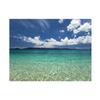 Ropical Beach Backdrop Banner,Wall Decor for Summer Parties,Events,Photo Shoot Backdrop,Beach Theme Decor,Weddings