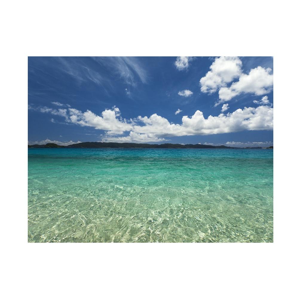 

Баннер-фон «Тропический пляж», Декор для стен для летних вечеринок, мероприятий, Фон для фотосессий, Декор в пляжной тематике, Свадьбы 5*3ft (150*100cm)