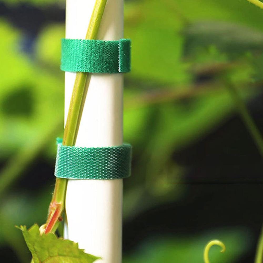 5M/10M Back To Back Velcro Plant Strap Velcro Strap Nylon Self-Adhesive Hook Hair Same Data Cable Tie