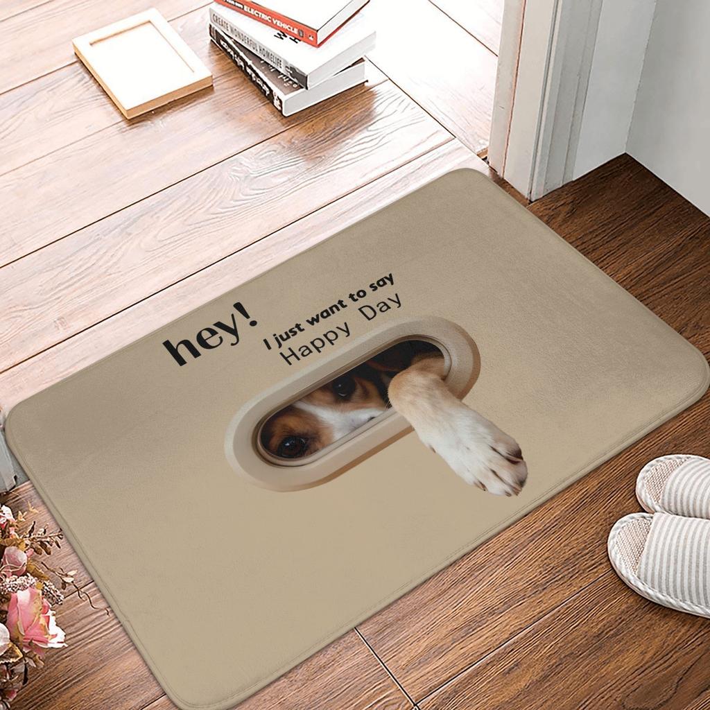 Hey I Just Want to Say Happy Day Crocodile Pattren Front Door Mat Anti-Slip Indoor Doormat Garden Garage Entrance Rug Carpet