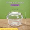 Yangge Disposable Round Dessert Containers with Lids