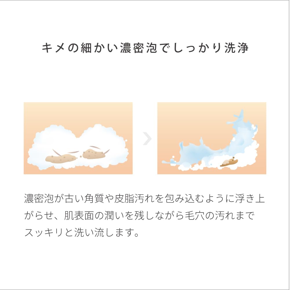 EVERYSKIN Day Wash 110g Human Ceramide NMF Sebum Film Dense Foam Sebum Stains Dead Skin Redness Itching Dry Skin Sensitive Skin