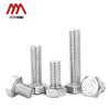 304 Stainless Steel Hexagon Head Bolt