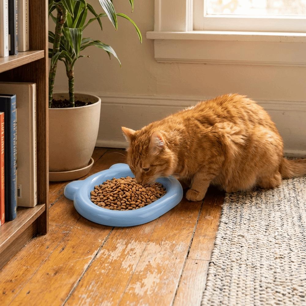 Plastic Bear Shaped Pet Plates Colorful Pet Feeding Dishes Lightweight Pet Snack Dish  Travel