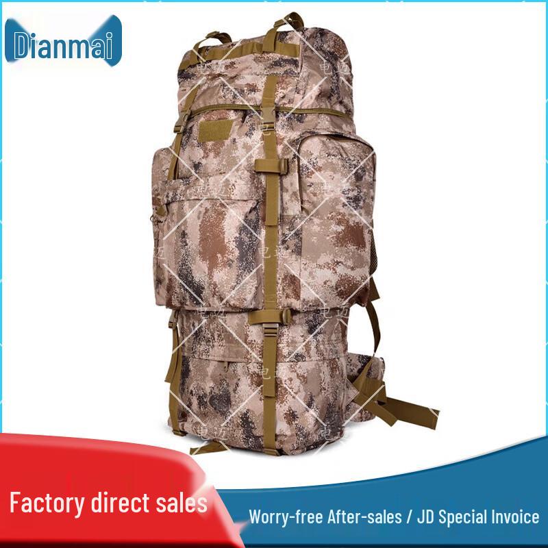 Dianmai 100L Outdoor Travel Backpack