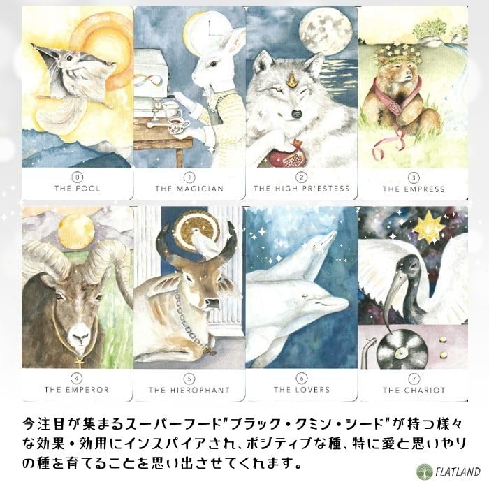 Black Seed Tarot Reading Japanese Instruction Manual Authentic Tarot 78 Cards Tarot, Instructions, Included, Cards,