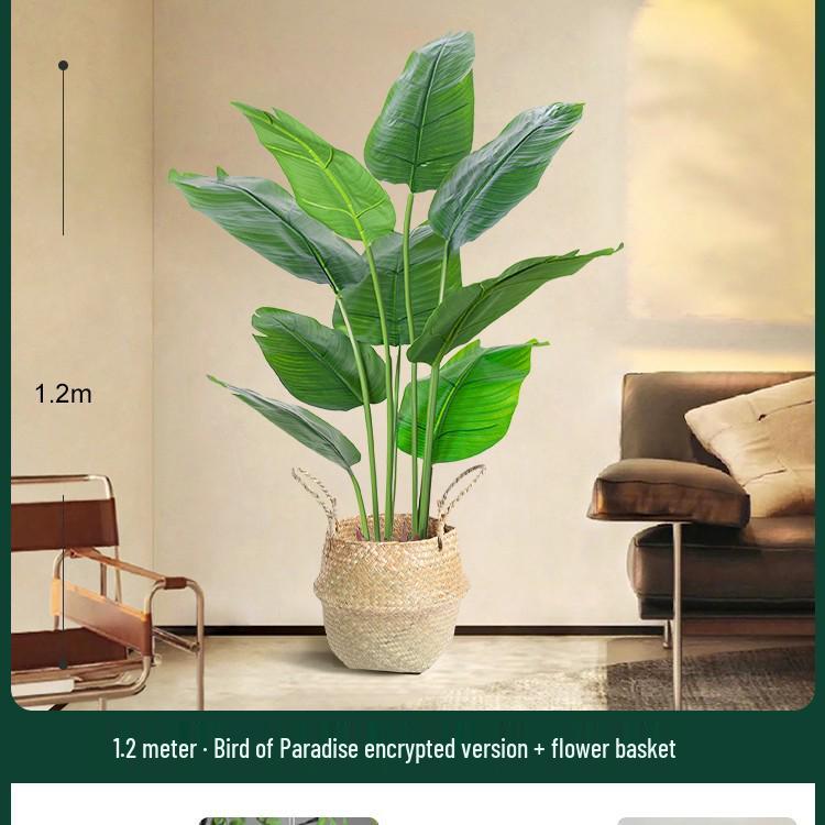 High-End Indoor Bird of Paradise Decor: Luxury Potted Traveler's Palm