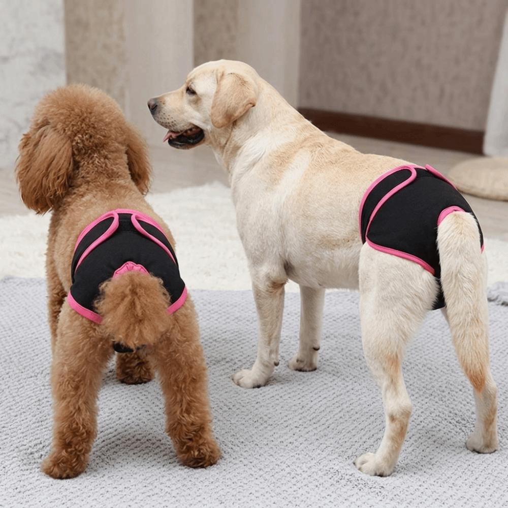 Soft Fabric Dog Sanitary Pant Adjustable Sticky Strap Pet Period Underwear  Dog Estrus