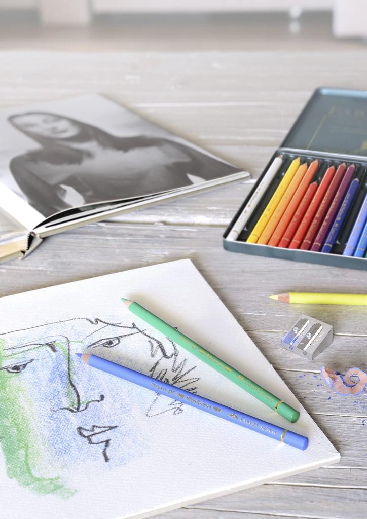 Faber-Castell Polychromos Colored Pencils, 24 Colors, Tin, 110024 [Official Japanese Product]