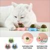 Drehbarer Katzenminzenball für die Wand mit Saugnapf, Leckerli-Spielzeug, enthält Katzenminze-Zuckerbälle, intelligentes Katzenspielzeug, interaktiver Ball, Katzenminzenspielzeug