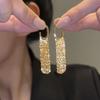 Golden Geometric Tassel Earrings with A Sense of European and American Design, Exuding A Light Luxury and High-end Temperament