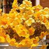 Maintenance Free Fake Greenery Artificial Morning Glory Flower Bouquet, Realistic Plastic Floral Arrangement Decorative Plants for Vases Home
