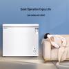 Energy-Efficient Mini Freezer: Compact, Silent, Quick-Freeze, and Ideal for Single-Person Use