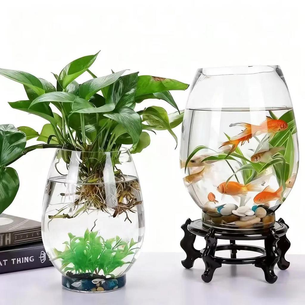 Round Glass Dinosaur Egg Hydroponic Vase Desktop Ornament for Plants