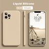 Official Liquid Silicone Protection Soft Case For iPhone 16 15 14 13 11 12 Pro Max Mini X XS XR 7 8 Plus SE  Colorful Cover