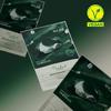 The Lab by Blanc Doux Green Flavonoid 2.0 Mask (1 Sheet)