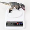 Southern Giant Beast Dinosaur Model: Solid Core Tyrannosaurus Rex Toy for Kids